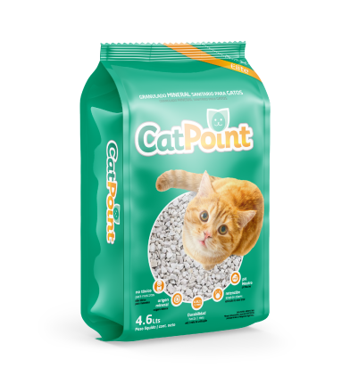 Cat Point